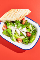 Vegetarian green salad on trendy red background with hard shadow. Green bowl with vegetables and tofu in minimal style. Contemporary food menu. Healthy food in modern concept.
