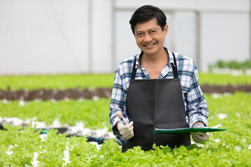 senior farmer holding clipboard and thumbs up pose in hydroponic farm