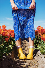 Woman's legs in blue dress and yellow rubber boots and yellow  in red orange bloom tulip field on a sunny summer day on blue sky background. Nature countryside.