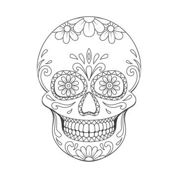 recommend clip art: Day of The Dead sugar Skull with floral ornament. Mexican skull. Vector illustration isolated on white background