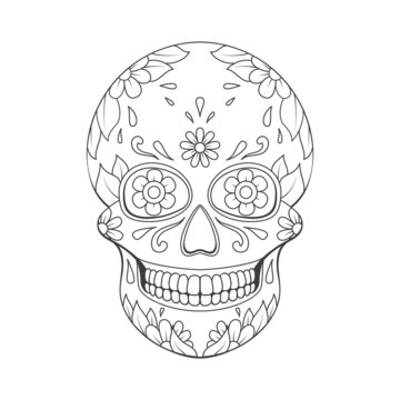 recommend clip art: Day of The Dead sugar Skull with floral ornament. Mexican skull. Vector illustration isolated on white background