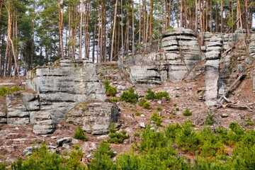Sandstone rocks, beautiful forest panorama