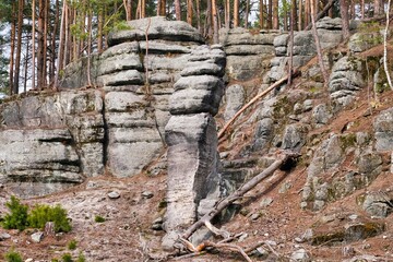 Sandstone rock in the forest. Beautiful nature panorama