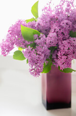 Lilac flowers are in a vase. Beautiful branches of lilac flowers on a white background, natural spring background, soft selective focus, vertical photo.