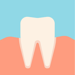 White tooth icon. Vector illustration.