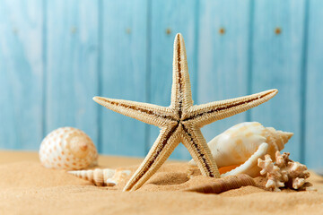 shells and sea star on sand