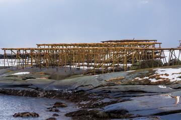 Fish  drying racks with cod near Reine. Lofoten islands Norway