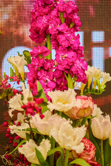 beautiful abstract background with flowers in blur dof.