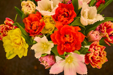 beautiful abstract background with flowers in blur dof.