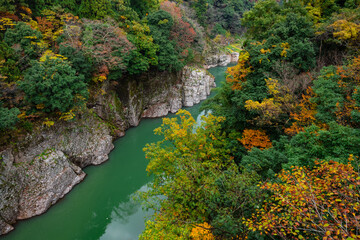 神通峡の秋