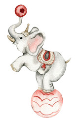 Watercolor circus cute animals clown mice mask horse