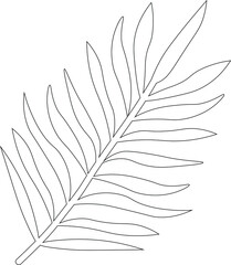 One line drawing of tropical leaves. Modern single line art