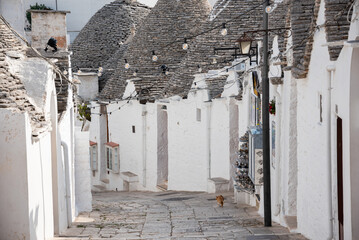 Alberobello town in Italy, famous for its hictoric trullo houses