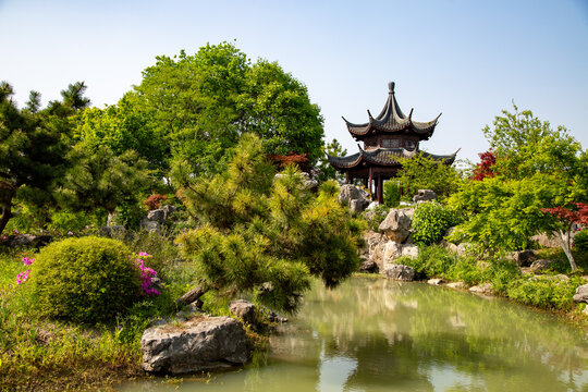 A Chinese style garden with a pavilion.