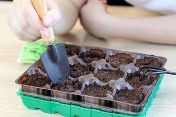 The girl prepares the ground in a plastic mold for seedlings, loosens the ground with a spatula