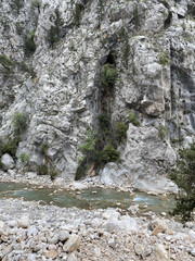 Fototapeta na wymiar a shady mountain gorge in the Kesme Bogazi canyon, Turkey. Kuzdere Canyon at Kemer Antalya 