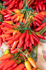 Bunches of red hot chili peppers for sale on market