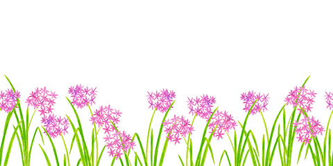 Obraz na płótnie Canvas Border of pink flowers with leaves on a white background. Horizontal seamless pattern.