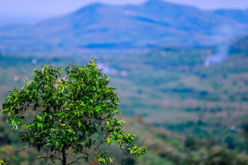The background of the sea by the evening sea, with natural beauty (sea water, rocks, sky) and fishermen are fishing by the river bank, is a pleasure during travel.