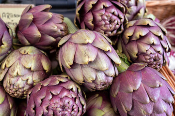 Heads of fresh organic artichoke flowers, edible vegetables purple romanesco artichokes