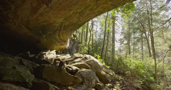Sun Shining Through Trees Into Rockwall Cave
