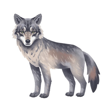 Illustration of a wolf on light background. Logo, sign, emblem.