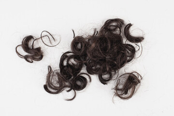Dark black curly human hair isolated on a light gray background