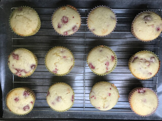 Freshly baked lemon raspberry muffins