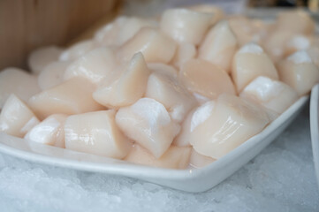 Fototapeta na wymiar Pecten maximus or great scallop, king scallop, St James shell or escallop fresh and open ready to cook
