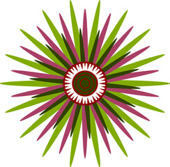 A bright shining star. A vector file is useful for creating your designs.