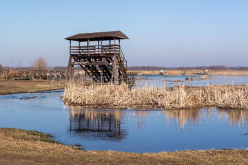 Narwiański Park Narodowy w Waniewie, Podlasie, Polska © podlaski49