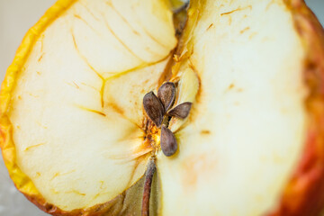Dried incised apple close-up. Apple pits close up