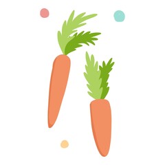 Reusable carrot vegetable in recycling plastic, zero waste and eco bottle and pack