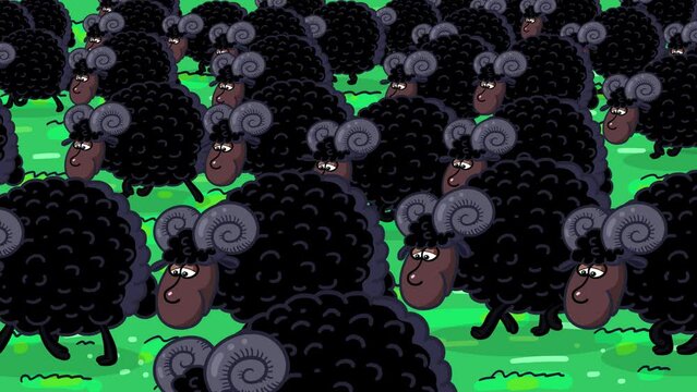 Rams black cartoon characters herd walking in the meadow. Sheep male. Plenty black ram neverending walking seamless loop wallpaper. Easter, spring, farming, grass, happiness kid animation.