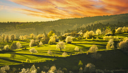 Spring landscape in Slovakia. Polana region, Hrinova. Green spring rural hills landscape, fields, flowering trees, organic farming © Zedspider