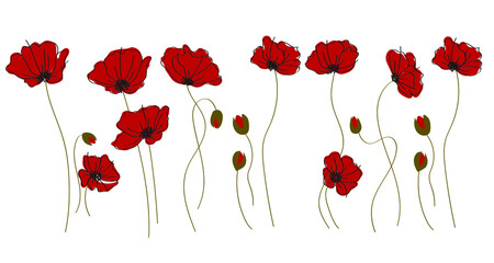 Set of beautiful red poppy flowers with buds. Wildflowers on a white background. Vector illustration.