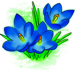 crocus blue flower watercolor ukrainian