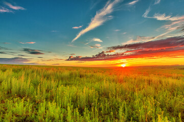 Meadow and sunset sky