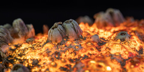 a red planet seen in a spider crab shell
