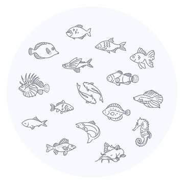 recommend clip art: Marine life. Illustration. Cute fish card
