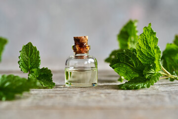 A bottle of melissa essential oil with melissa plant - obrazy, fototapety, plakaty