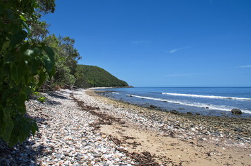 Fototapeta na wymiar Pebbly Beach - Far North Queensland Australia
