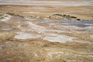 Солончаковые топи Каспийского берега