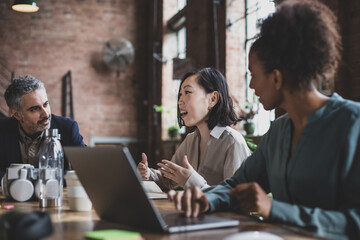 Businesswoman leading a meeting