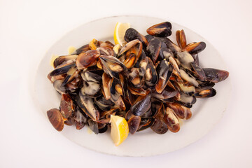 big group steamed fresh mussels on white plate