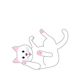 A playing white cat with white background