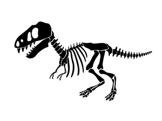 Vector illustration with dinosaur skeleton isolated on a white background.