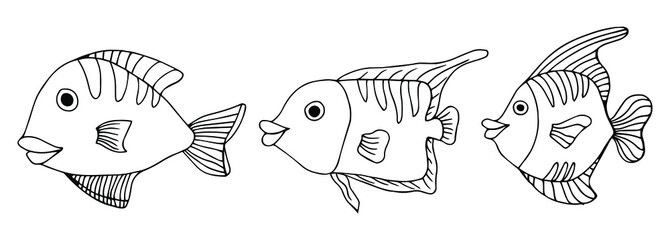 Coral fishes outline set for kids. Coloring book, prints, adults. Cute animal world.