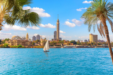 Cairo downtown behind the palms and sailboat in the Nile, Egypt, Africa - obrazy, fototapety, plakaty