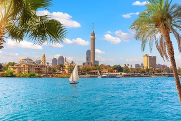 Foto op Canvas Cairo downtown behind the palms and sailboat in the Nile, Egypt, Africa © AlexAnton
